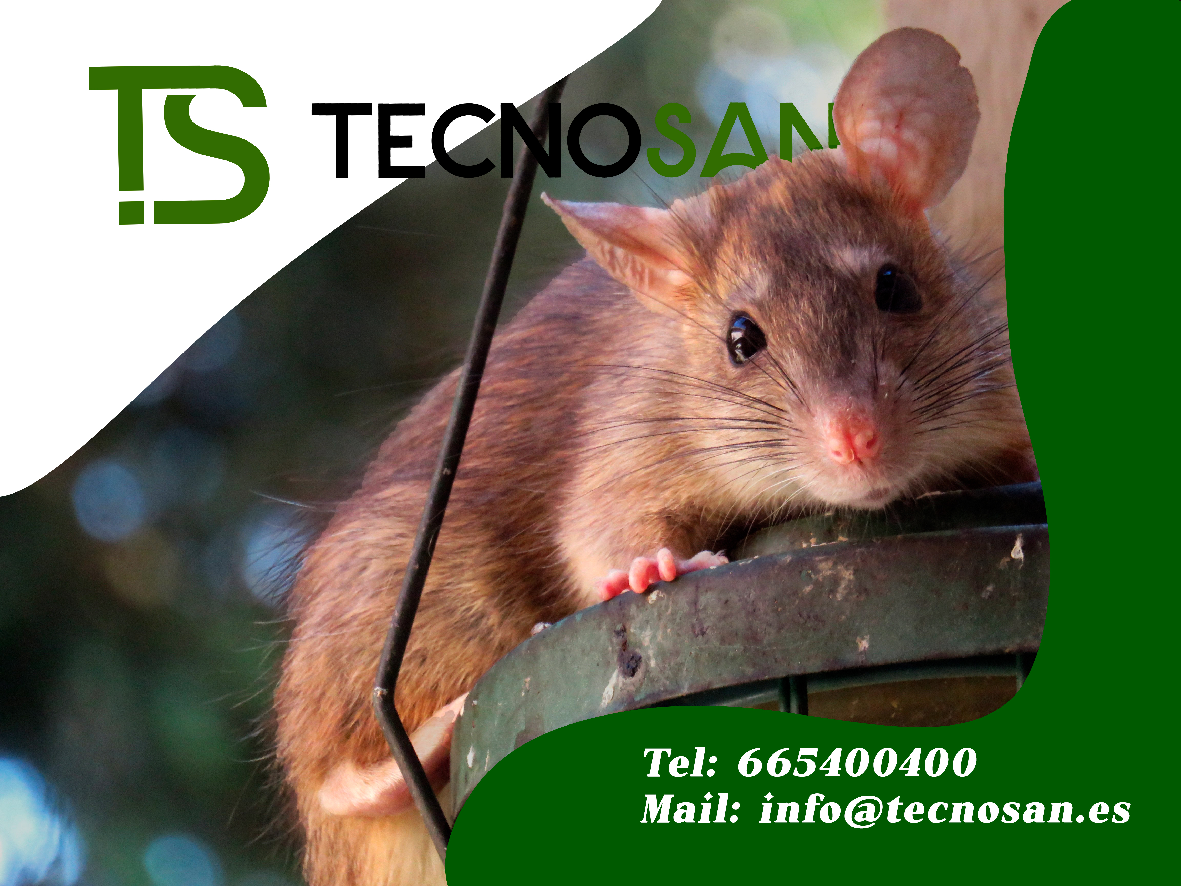 img Enfrenta con Tecnosan las plagas de roedores que afectan al sureste de la península